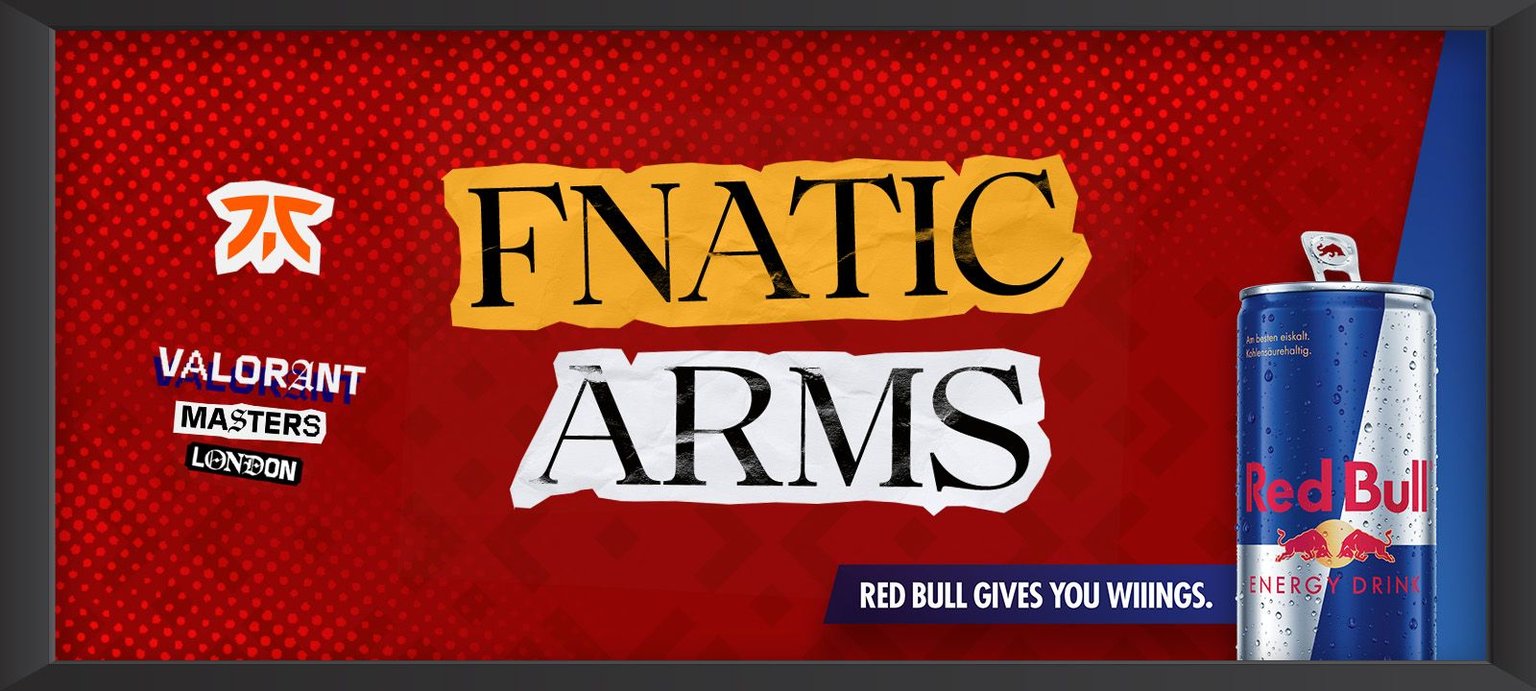 fnatic arms