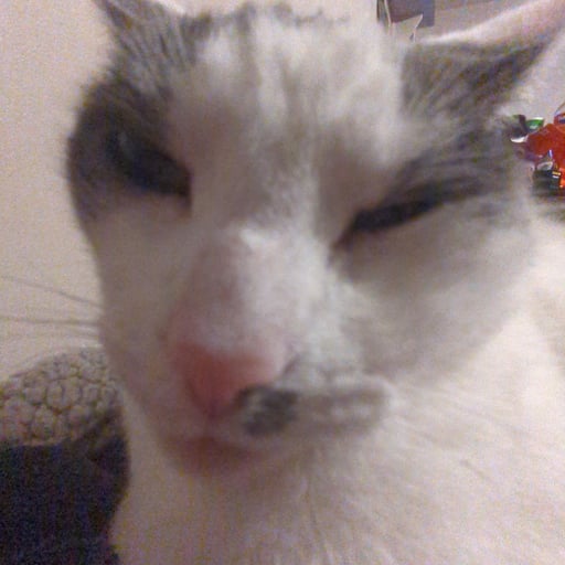 lettuce69420's avatar.