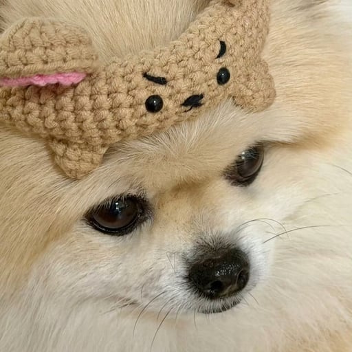 xstobeomnipotent's avatar.