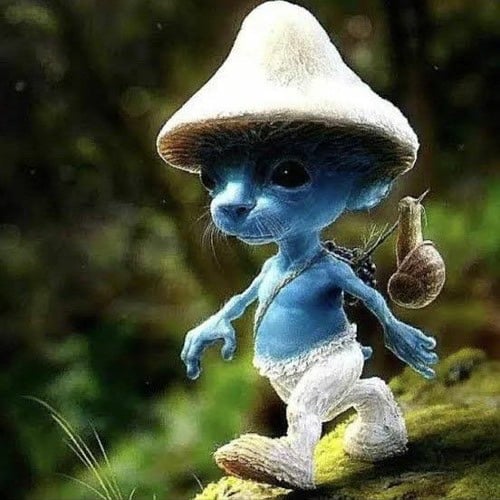 frick0turtle's avatar.