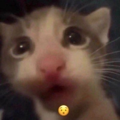 Karoo's avatar.