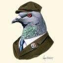 SquareSquid3027's avatar.