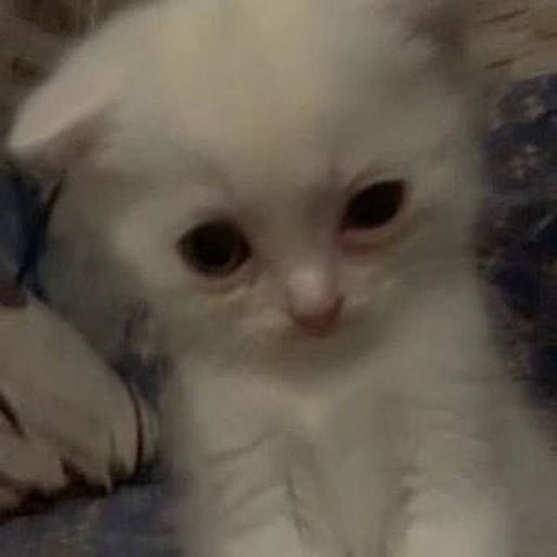 Tragiic's avatar.