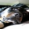 Racerboi45's avatar