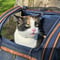 Avatar for Pabotokki