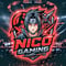 Avatar for Nico Hofmann