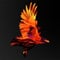 Avatar for hawk_zed