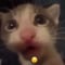 Karoo's avatar