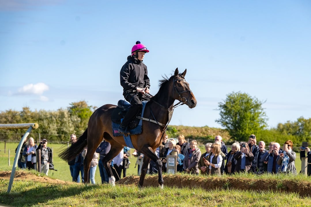 Corard's banner image.