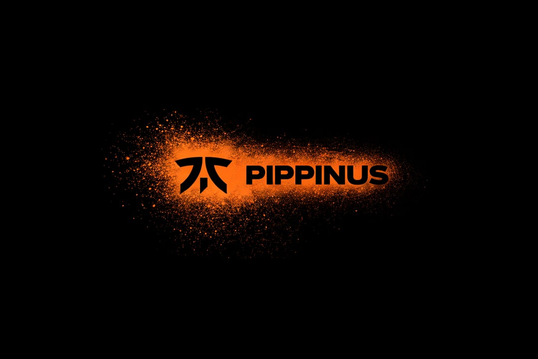 Pippinus's banner image.