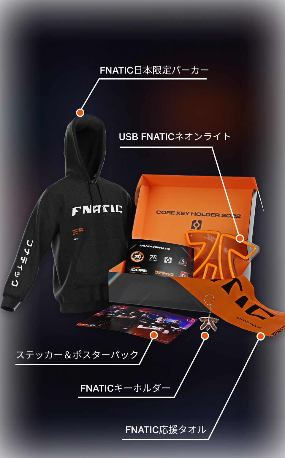 FNATIC Membership日本限定パーカー-